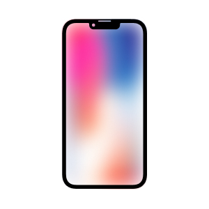 iPhone X Brugt